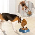 thumbnail image 3 of Slow Feeder Dog Bowls, 3 of 9