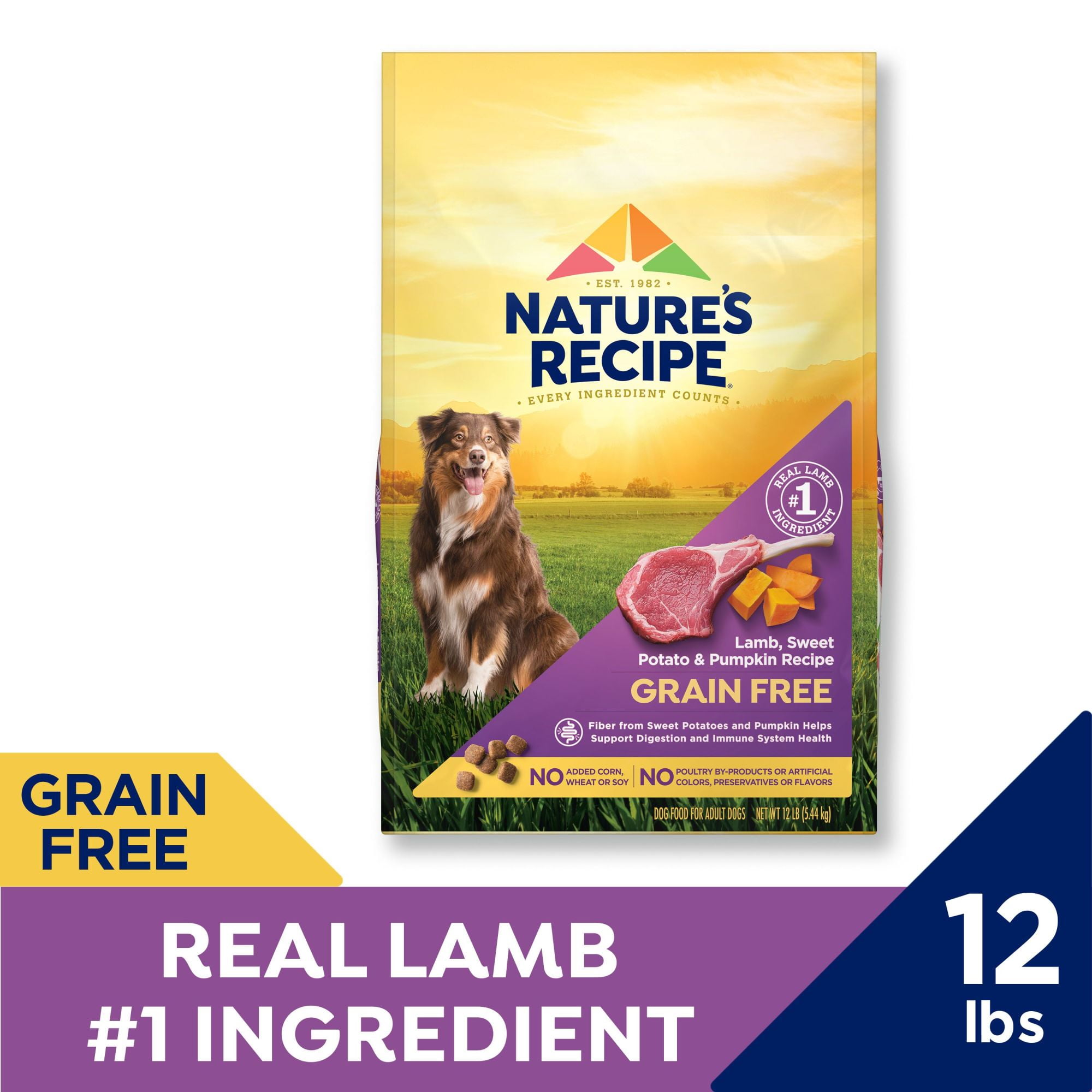 Nature's recipe dog top food at walmart