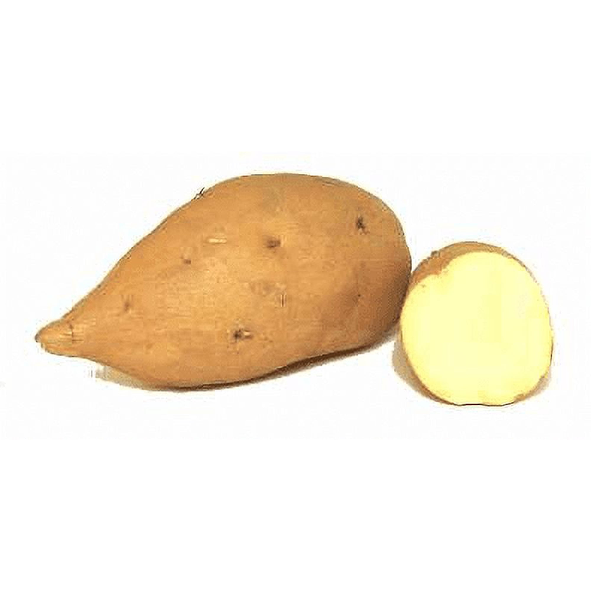 Whole Fresh White Sweet Potatoes, 1 Count