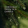 thumbnail image 2 of Thymes Gilded Ceramic Frasier Fir Candle - 6 Oz, 2 of 6