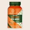 MegaPlants Supreme Sea Moss Bladderwrack Burdock Root
