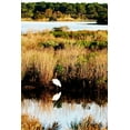 thumbnail image 2 of Hausenflock, Alan 17x24 Gold Ornate Wood Framed with Double Matting Museum Art Print Titled - Assateague Island II, 2 of 4