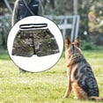 thumbnail image 1 of Pantalones de entrenamiento de manejables de perros, delantal de entrenamiento de perros, cinturón de entrenamiento de trabajo cortos de entrenamiento L, 1 of 9
