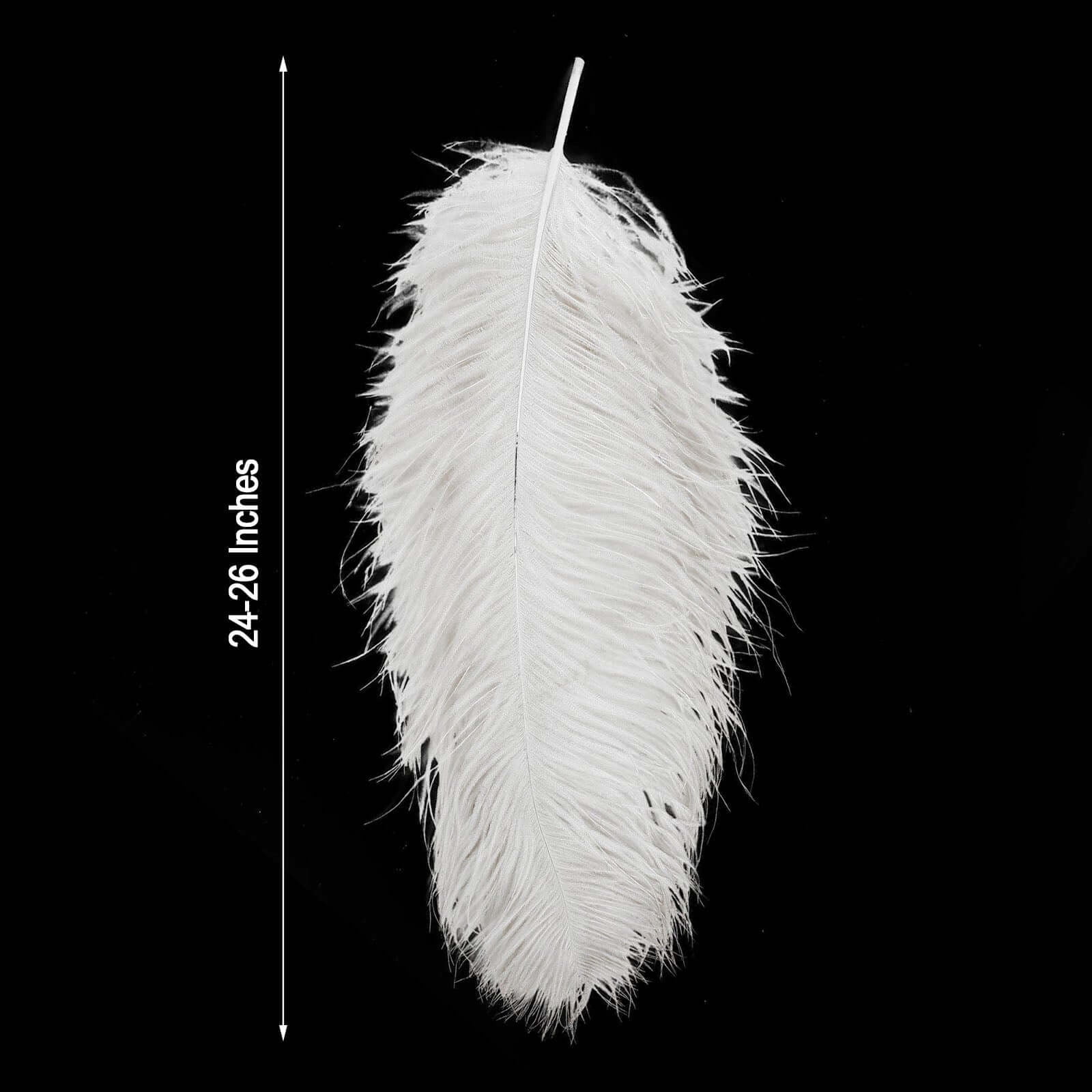 Efavormart 12 RARE 24"-26" Ostrich Plume Feathers For Wedding Birthday Party Dance Banquet Event Decoration - White