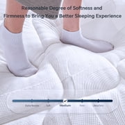 Blinddarm Queen Mattress, 10 inch Hybrid Memory Foam Mattress in a Box, Individual Pocket Spring, Medium Firm, CertiPUR-US