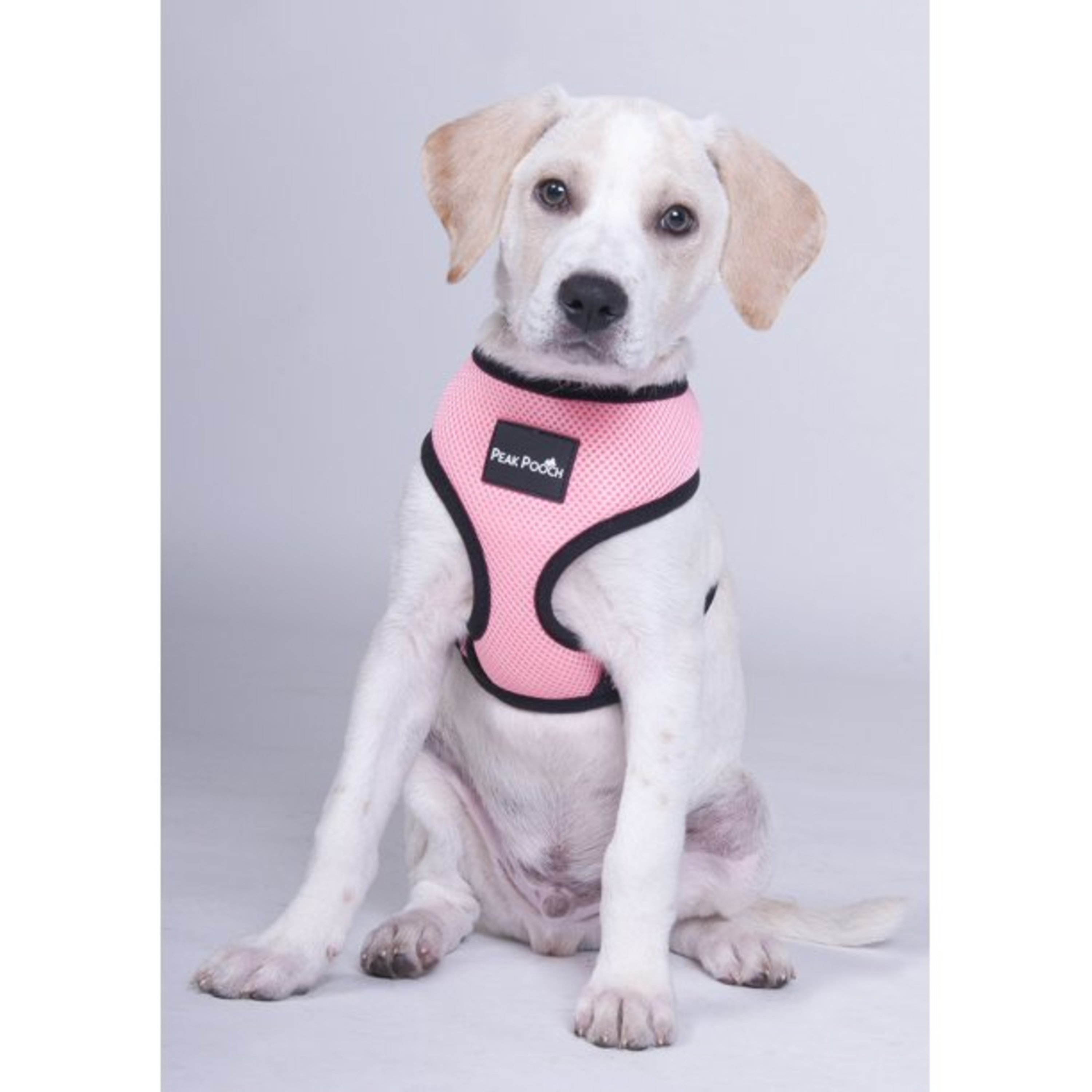 Peak Pooch No Pull Dog Harness for Large Dogs Purple, 14" Neck L Dog Vest - image 5 of 8