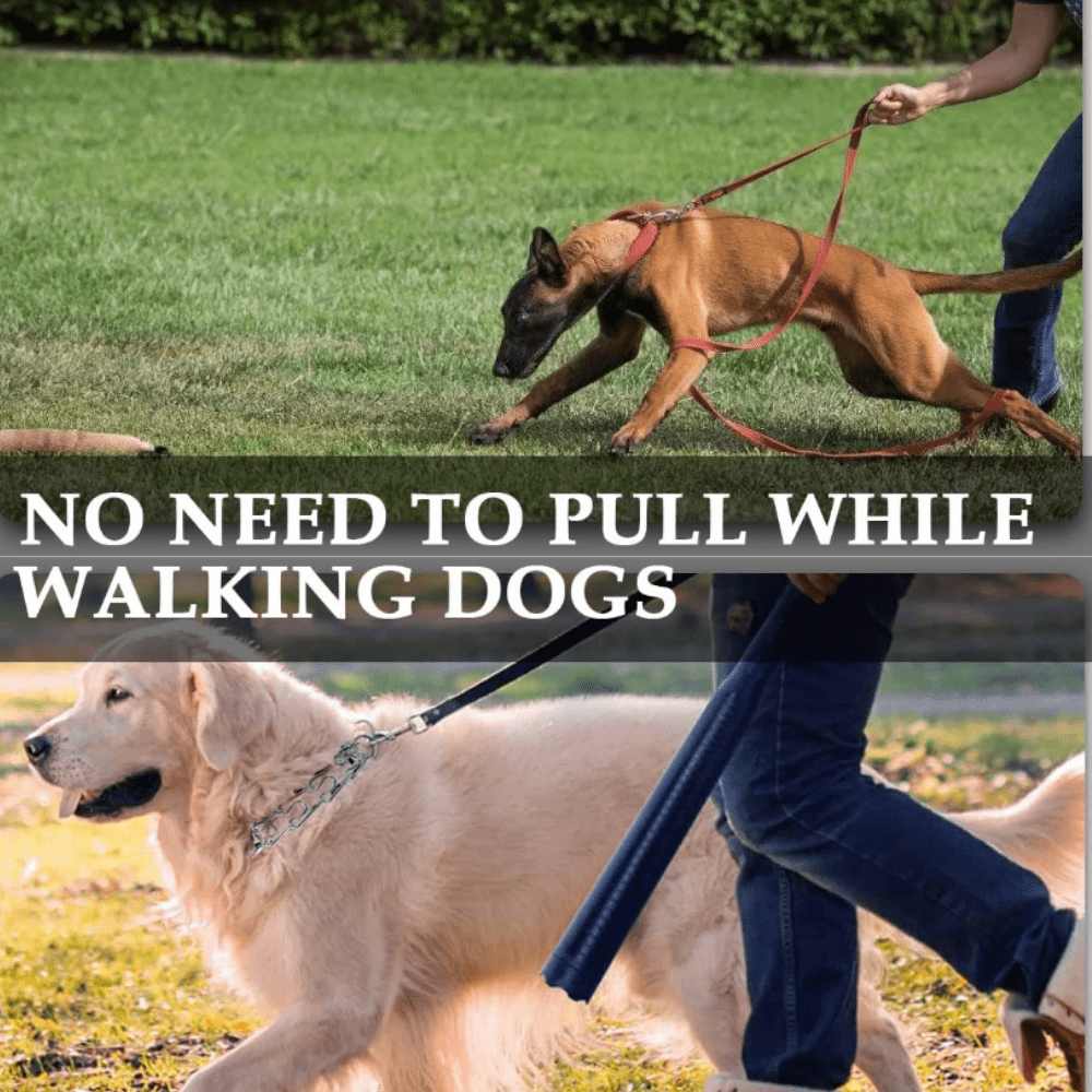A dog not cheap to pull when walking