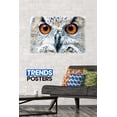 thumbnail image 2 of Owl - Close Wall Poster, 22.375" x 34", 2 of 5