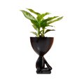 thumbnail image 4 of New Creative Resin Small Flowerpot Figurine Decoration, 4 of 7