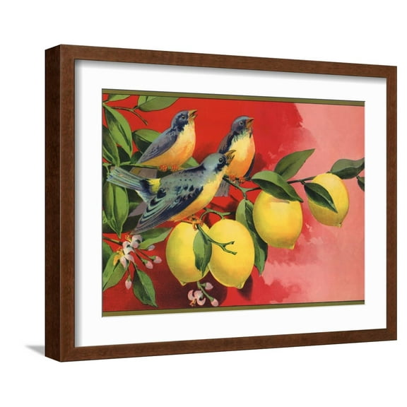 Art.com Birds on Lemon Branch - Citrus Crate Label Art Print by Lantern Press, Brown Frame Wall Art, 21" x 17"