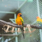 LOLIPPYY Wooden Parrot Climbing Ladder with Multi Tier Anti Slip Design