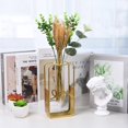 thumbnail image 4 of AMERTEER Hydroponic Vase Pots Creative Heart Shaped Rectangle Triangle Five-Pointed Star Table Home Decoration Small Flowerpot, 4 of 23