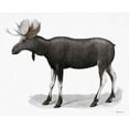 thumbnail image 2 of Stellar Design Studio 24x20 Gold Ornate Wood Framed with Double Matting Museum Art Print Titled - Grand Moose, 2 of 4