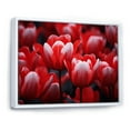 thumbnail image 2 of Designart "Pink Tulips landscape" Floral Floater Framed Wall Art Living Room, 2 of 7