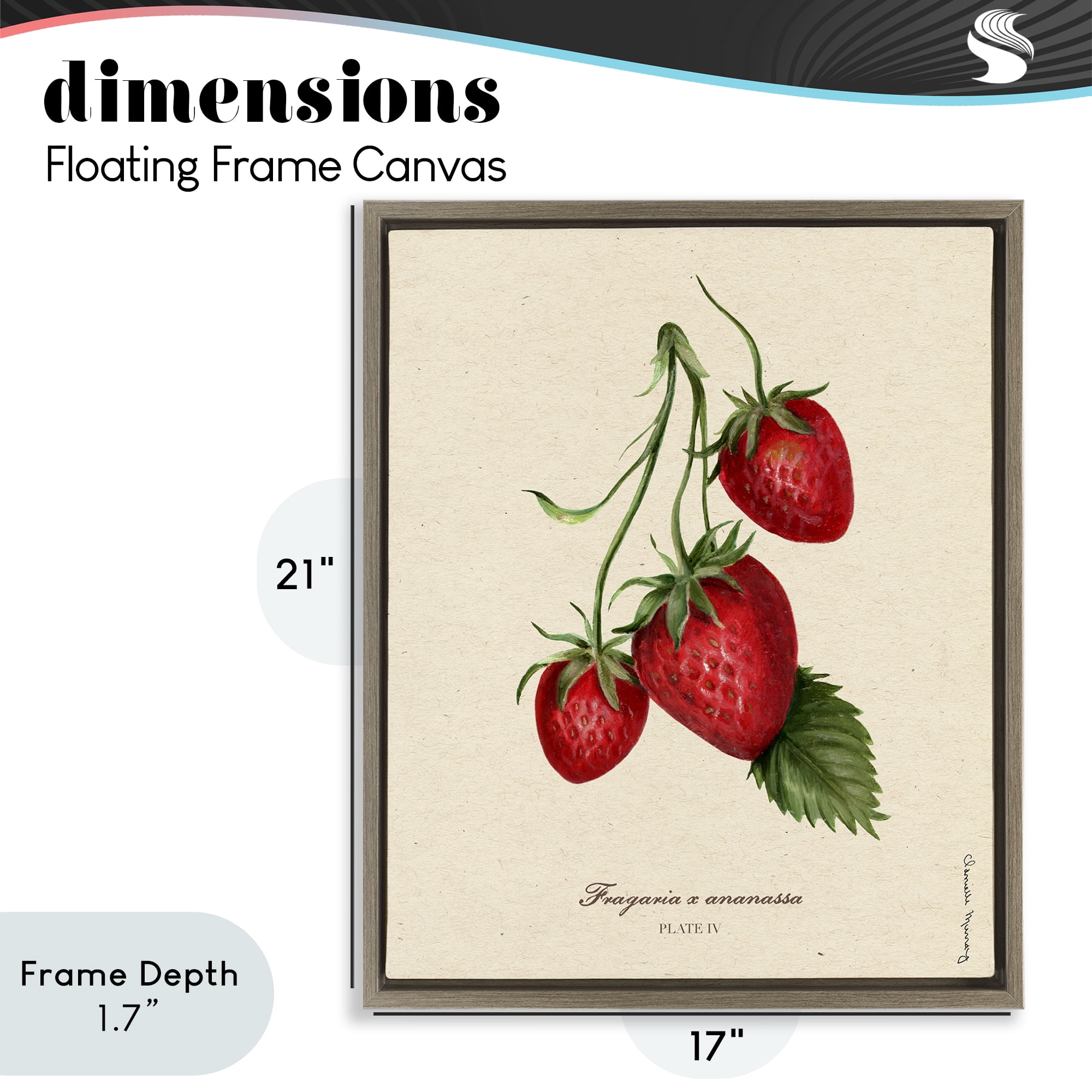 Stupell Industries Strawberry Fruit Portrait Brown Framed Floater Canvas Wall Art, design by Danielle Murray