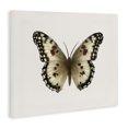thumbnail image 3 of Stupell Industries Contemporary Tan Symmetrical Butterfly Canvas Art, 30 x 24, by Elizabeth Medley, 3 of 8
