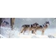 thumbnail image 2 of CafePress - Pack Of Wolves During Winter Mugs - 11 oz Ceramic Mug - Novelty Coffee Tea Cup, 2 of 4