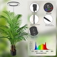 thumbnail image 3 of Scidweet Grow Lights for Indoor Plant, 160 LED 60" Height Adjustable Large Plant Light Full Spectrum Auto on/off Timer 3/9/12H, 3 of 6