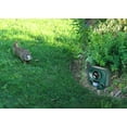 thumbnail image 4 of Bird-X Inc Solar-Powered Ultrasonic Electronic Pest Repellent Stake, 4 of 6