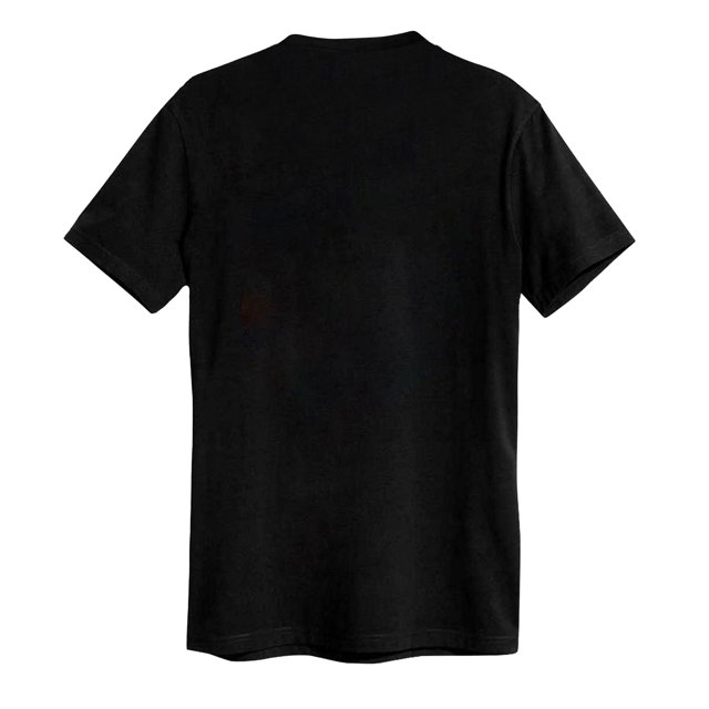 Amplified - Camiseta Queens Of The Stone Age Skull Planet para Adultos Unisex (Carbón)