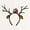 C, variant on Women's Gothic Halloween Antler Headband, Skeleton Hairband with Ribbon and Lace Details, Perfect for Costume Contests, Horror Parties and Festivals