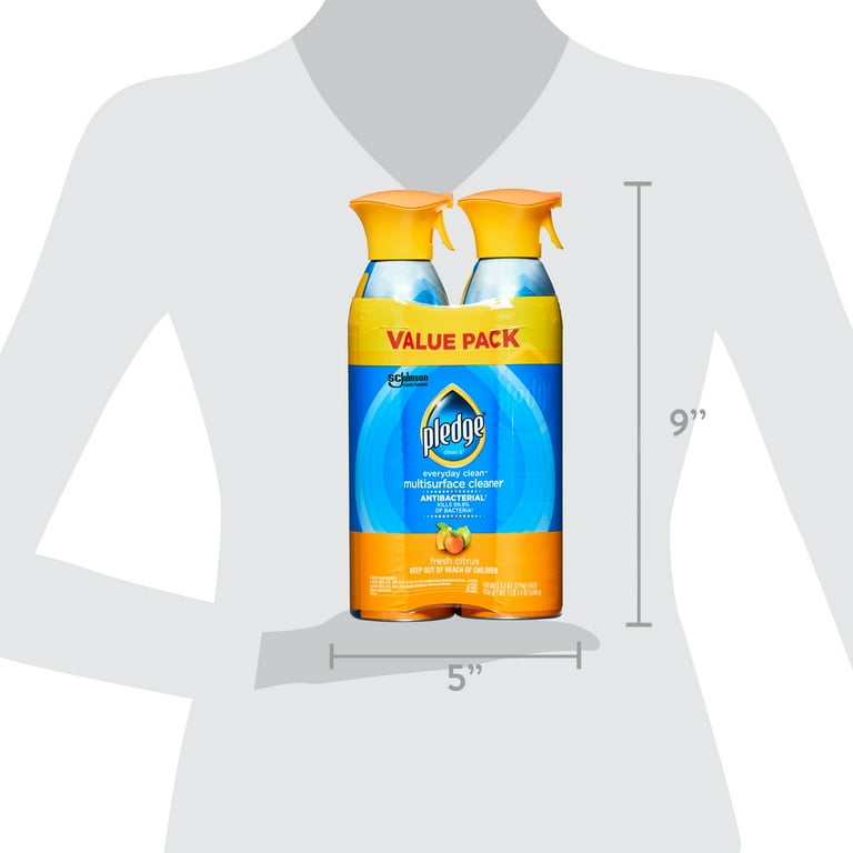 Pledge multi surface antibacterial outlet