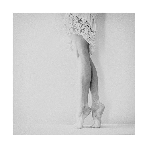 Ton Dirven 'Dancer' Canvas Art