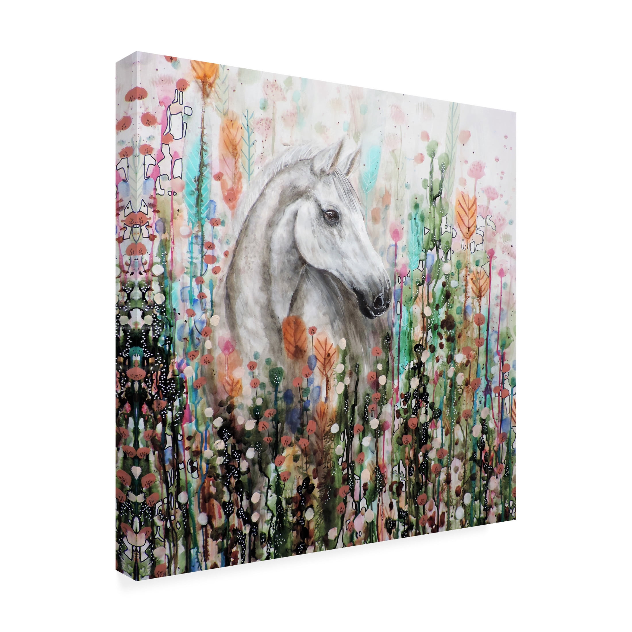 Canvas Wall Art - Sylvie Demers 'Ame Sauvage' Wall Art for Living Room, Bedroom, or Office D?cor by Trademark Fine Art - 35 x 35 Inches