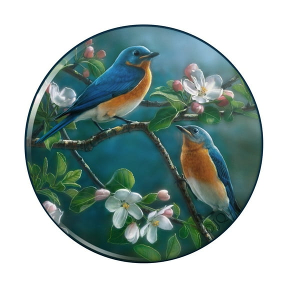 Eastern Bluebirds Blue Birds Thrush Kitchen Refrigerator Locker Button Magnet