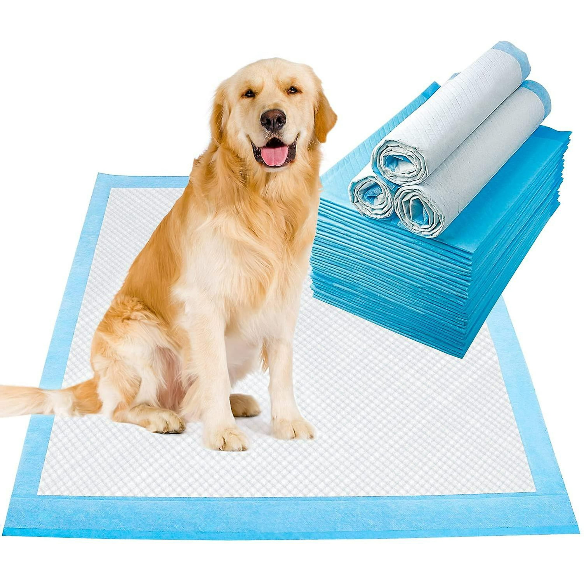 Do Puppy Pads Hinder Potty Training