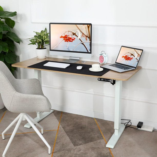 Farexon Electric Height Adjustable Standing Desk, 48" x 24" Sit Stand Desk with Double Crossbeam