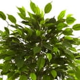 thumbnail image 3 of Nearly Natural 3' Ficus Artificial Tree UV Resistant (Indoor/Outdoor), 3 of 4