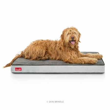 Brindle 4" Plush Memory Foam Orthopedic Dog Bed