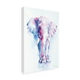 thumbnail image 4 of Trademark Fine Art 'An Elephant Never Forgets' Canvas Art by Aimee Del Valle, 4 of 4