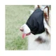 thumbnail image 3 of Máscara para los ojos con gorro calmante para perros, máscara para la ansiedad de mascotas, collar de nailon con sombreado para gatos, bozal para el cuidado del perro, antimareos en el coche, bozal, 3 of 4