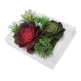 thumbnail image 4 of AURARMLET 1 Pc Artificial Succulent Plastic Picture Frame Wall Decor for Home Office Multi Color, 4 of 5
