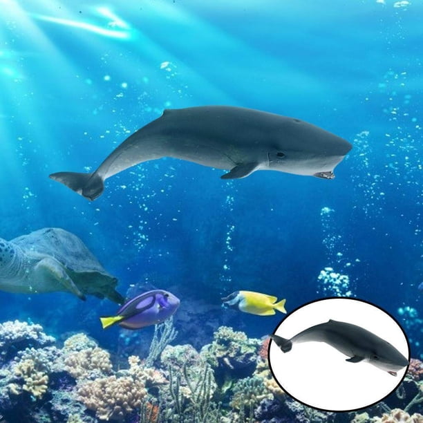 Jouet animal marin modèle de articulations mobiles bonne qualité grande baleine tueur requin poulpe dauphins calmar animaux de corail 26 Jouet animal marin modèle de articulations mobiles bonne qualité grande baleine tueur requin poulpe dauphins calmar animaux de corail 26