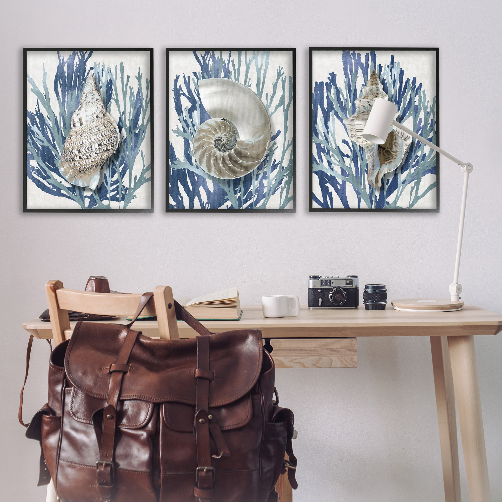 Stupell Industries Trio of Shells & Coral Nature Painting Black Framed Art Print Wall Art, 24 x 30, Set of 3