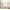 Beige, variant on SYNGAR Wooden House Bed, Kids Bed for Bedroom, Twin Size Floor Bed with Guardrails,