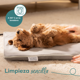 thumbnail image 5 of Almohadilla Térmica para Mascotas "Lilly" PP210 - Marca Beurer, 5 of 7