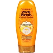 Garnier Whole Blends Moisturizing Daily Conditioner with Moroccan Argan, 22 fl oz