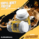 thumbnail image 5 of Proteina 100% Whey sabor Capuccino 2.2lbs 24 grs de PROTEINA por cucharada BIOTECKPHARMA, 5 of 9