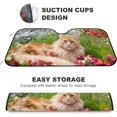thumbnail image 4 of Car Windshield Sunshade Blocks Sun Visor Protector the Maine Coon Flower Foldable Sun Shield For Vehicle Car Truck SUV Van 51x27.5 inches Keep Vehicle Cool, 4 of 6
