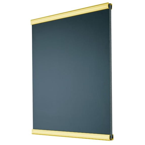 Lavi Industries 50-4582GD Directrac Double-Sided Poster Cartridge - Gold