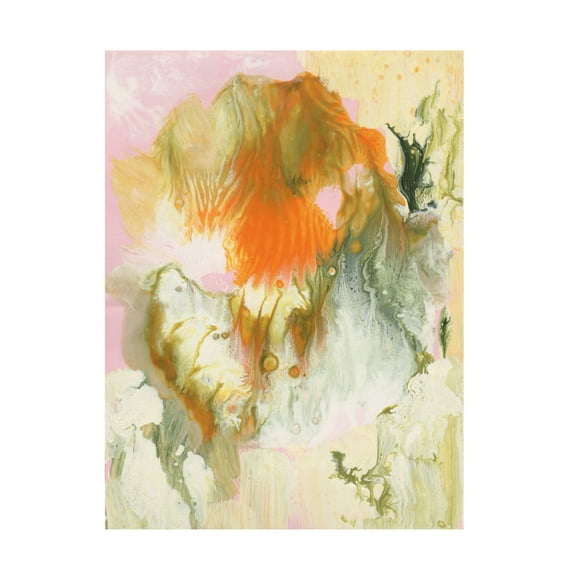 Trademark Fine Art Ferdos Maleki Sleeping Beauty I Canvas Wall Art