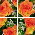 thumbnail image 3 of Sympathy Silks Artificial Cemetery Flowers - Orange Diamond Rose With Baby's Breath - Bouquet for Vase, 3 of 5