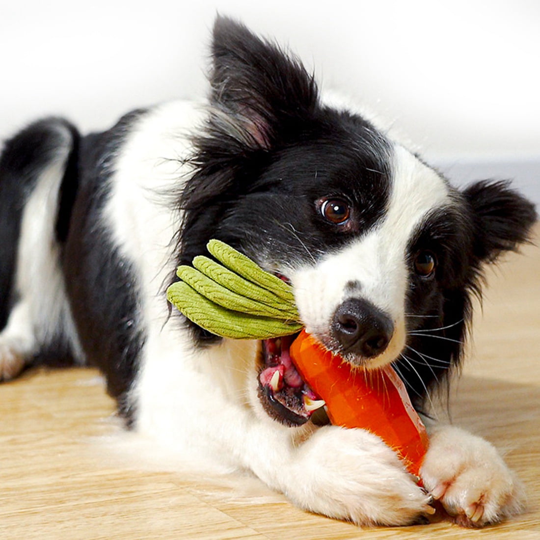 PEWOD Carrot Dog Toys for Aggressive Chewers, Squeaky Chew Toys for  Training and Cleaning, Durable Interactive Tough Dog Chew Toys for Small  Meduium