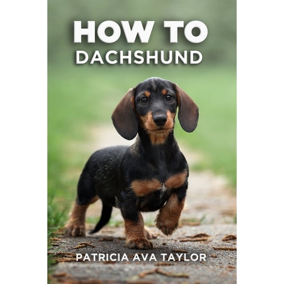 How to Dachshund: A Tail-Wagging Guide to Care, Training and Grooming Bliss (Paperback)
