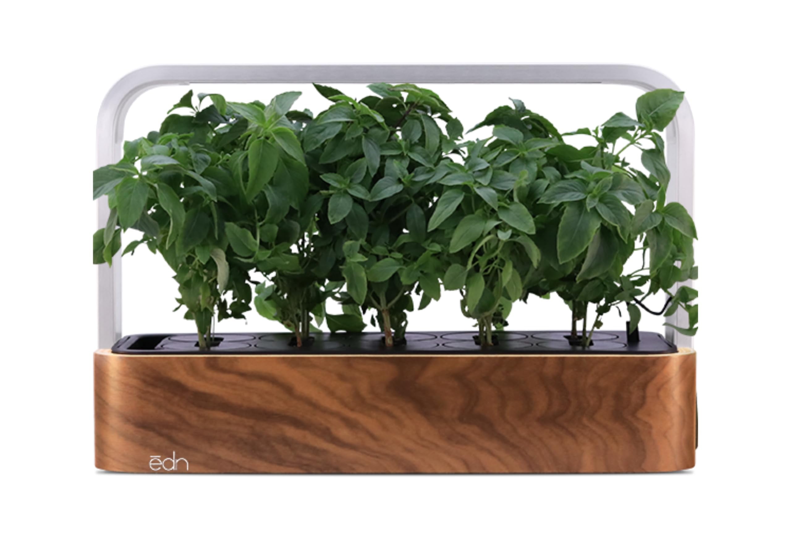 edn SmallGarden Thai Basil Variety SeedPods - 10 Pack