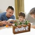 thumbnail image 1 of Terrario con soporte de madera para plantas, jarrón de vidrio con forma de bulbo, de metal, giratorio, retro, para hidroponía, hogar, jardín, oficina, decoración (jarrón de 3 bulbos), 1 of 7